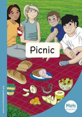 Book cover for Mêts Maesllan: Picnic