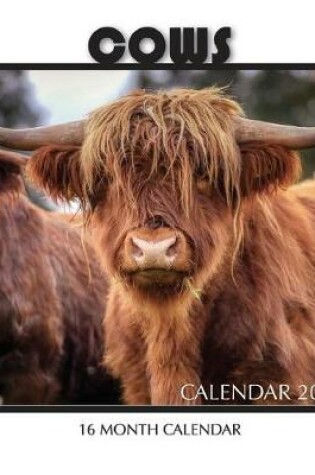 Cover of Cows Calendar 2020