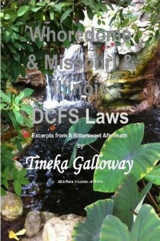 Cover of Whoredome & Missouri & Illinois DCFS Laws