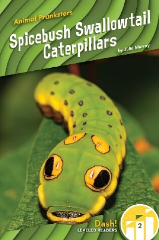 Cover of Spicebush Swallowtail Caterpillars