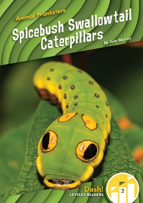 Book cover for Spicebush Swallowtail Caterpillars