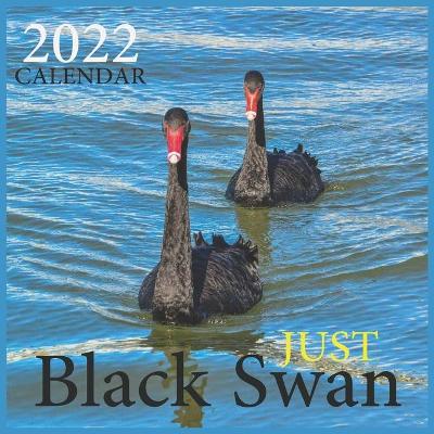 Book cover for Just Black Swan CALENDAR 2022