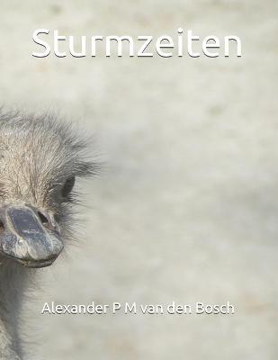 Book cover for Sturmzeiten