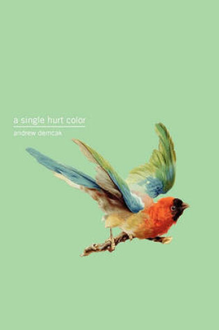 Cover of A Single Hurt Color