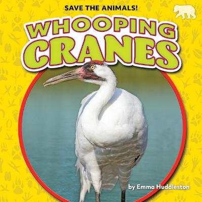 Cover of Whooping Cranes