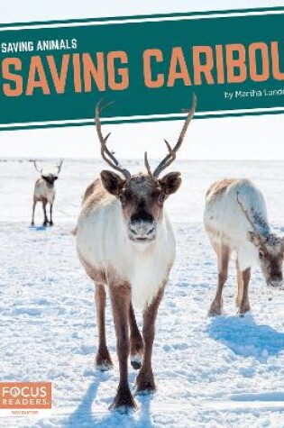 Cover of Saving Caribou