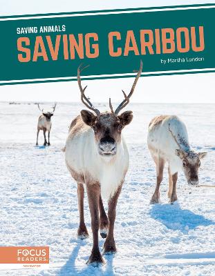 Book cover for Saving Caribou