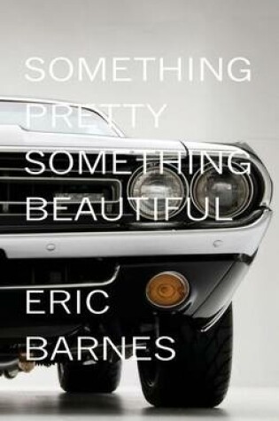 Cover of Something Pretty, Something Beautiful