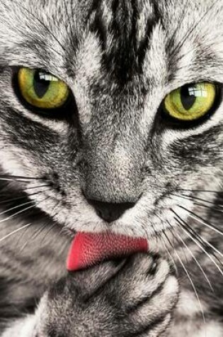 Cover of The Bright Red Tongue of a Tabby Cat