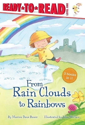 Book cover for From Rain Clouds to Rainbows