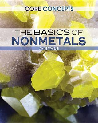Book cover for The Basics of Nonmetals