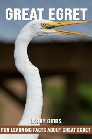 Cover of Fun Learning Facts about Great Egret