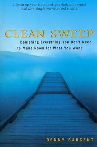 Cover of Clean Sweep