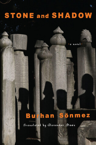 Cover of Stone and Shadow