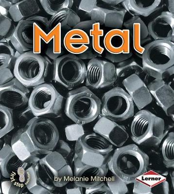 Book cover for Metal