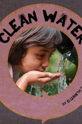 Cover of Clean Water