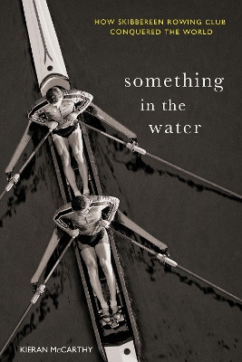 Book cover for Something In The Water