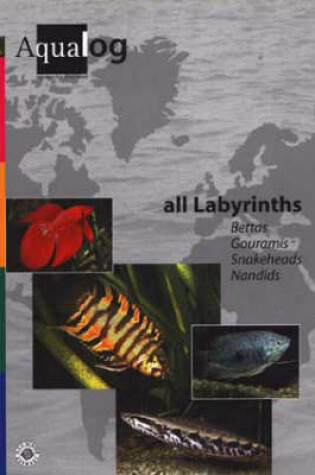 Cover of Aqualog All Labyrinths, Bettas, Gouramis, Snakeheads and Nandids