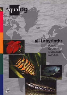 Book cover for Aqualog All Labyrinths, Bettas, Gouramis, Snakeheads and Nandids