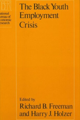 Cover of The Black Youth Employment Crisis