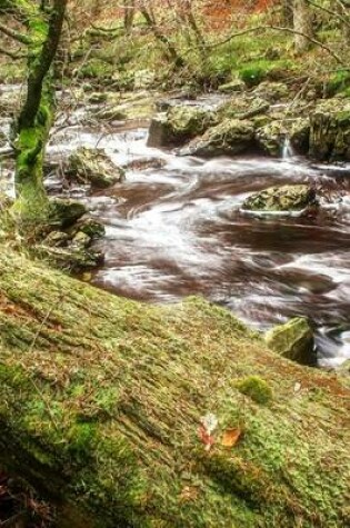 Cover of Time Lapse of a Stream in Idaho