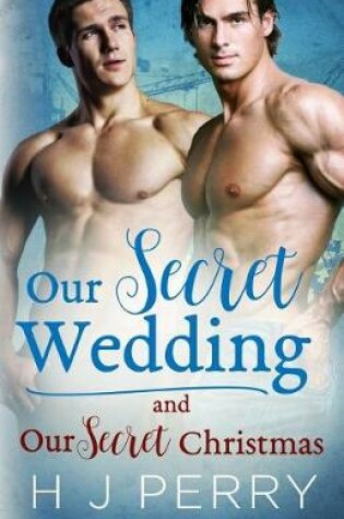 Cover of Our Secret Wedding