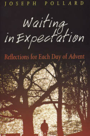 Cover of Waiting in Expectation