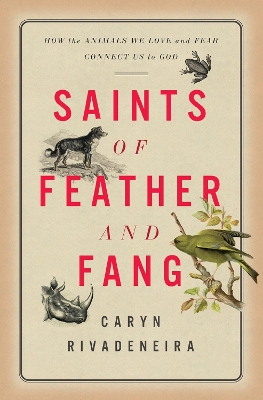 Book cover for Saints of Feather and Fang