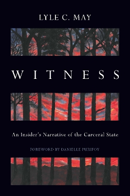 Book cover for Witness