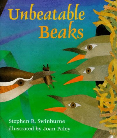 Book cover for Unbeatable Beaks