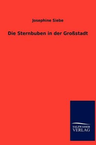 Cover of Die Sternbuben in Der Gro Stadt