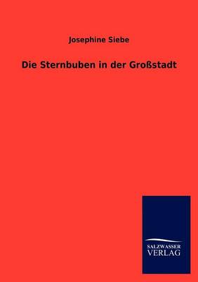 Book cover for Die Sternbuben in Der Gro Stadt