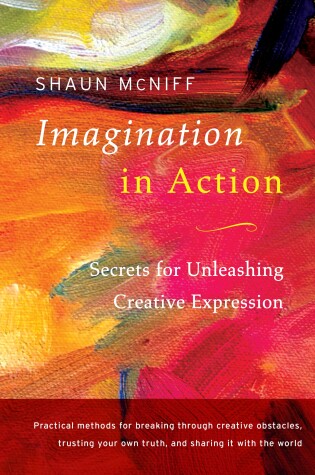 Cover of Imagination in Action