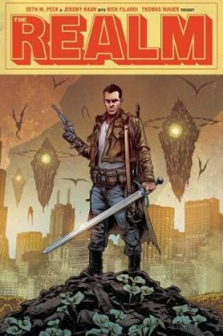 Cover of The Realm Volume 1