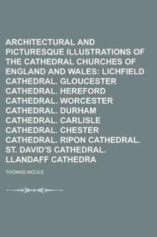 Cover of Winkles's Architectural and Picturesque Illustrations of the Cathedral Churches of England and Wales Volume 3