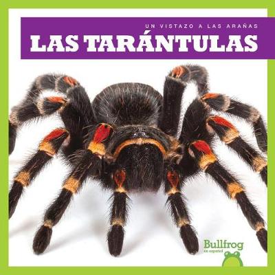 Book cover for Las Tarantulas (Tarantulas)