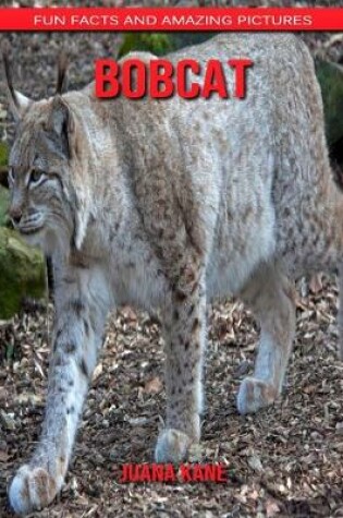 Cover of Bobcat