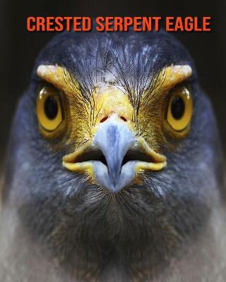 Book cover for Crested Serpent Eagle