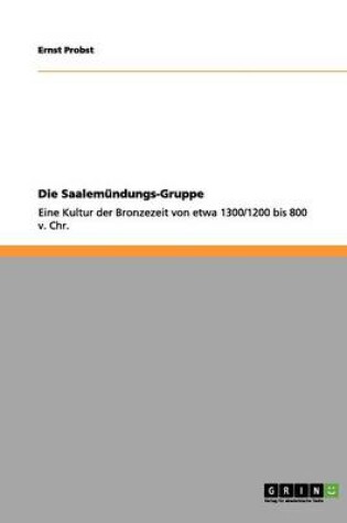 Cover of Die Saalemundungs-Gruppe