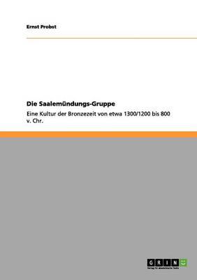 Book cover for Die Saalemundungs-Gruppe
