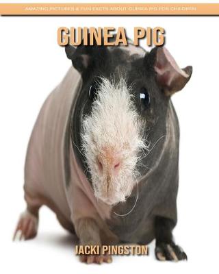 Book cover for Guinea Pig