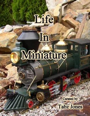 Book cover for Life In Miniature