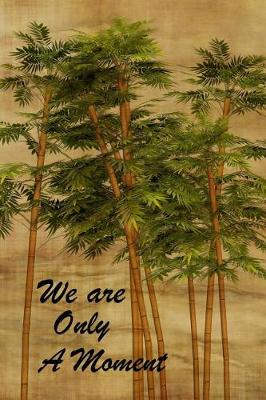 Book cover for We Are Only A Moment