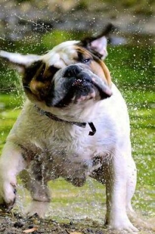 Cover of English Bulldog Shaking Off the Water Journal