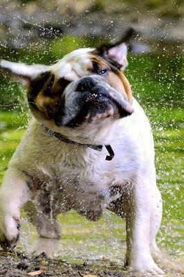 Book cover for English Bulldog Shaking Off the Water Journal