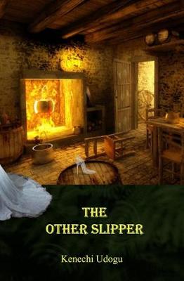 Book cover for The Other Slipper