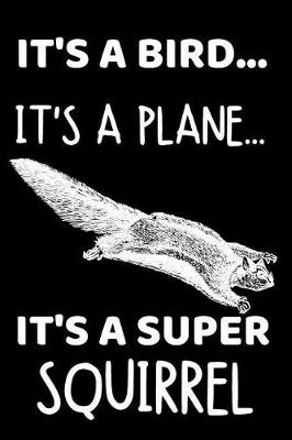 Book cover for It's A Bird...It's A Plane...It's A Super Squirrel