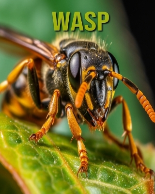 Book cover for Wasp