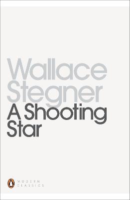 Book cover for A Shooting Star