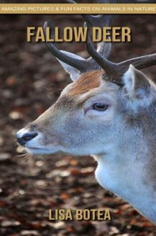 Cover of Fallow Deer